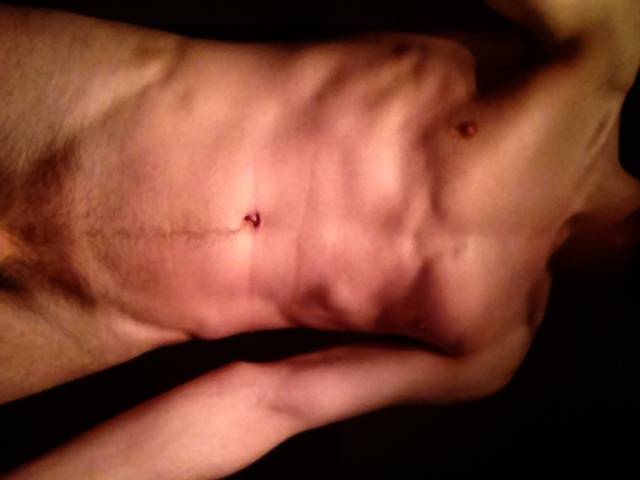 image.jpg - Harker
