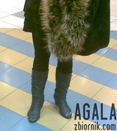 160120132915cz.jpg