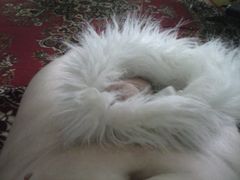 Hu hu ha nasza zima zła .. :))))))