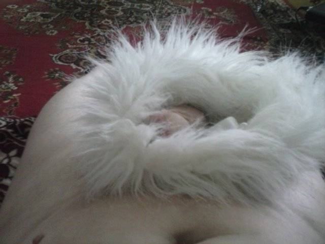 Hu hu ha nasza zima zła .. :)))))) - marys1964