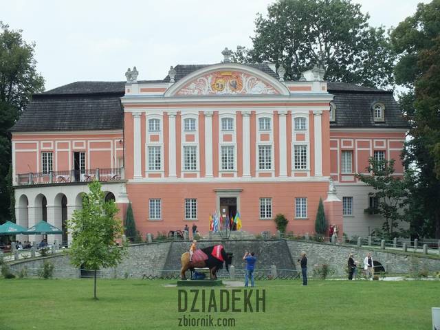 Pałac w Kurozwękach - dziadekh