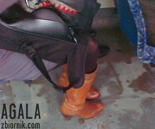250120133054cz.jpg - AGALA