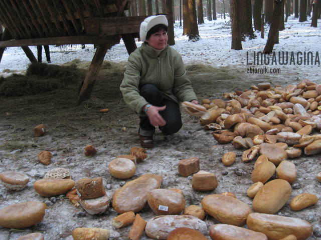 Spacer w Puszczy 25.01.2013 049.jpg - lingawagina