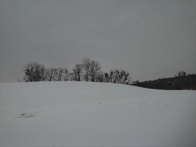 Gdzieś tam .... - marys1964