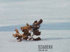 Jesienny akcent w środku zimy