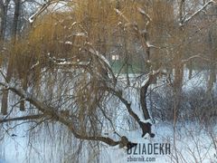 Jeszcze trochę golizny