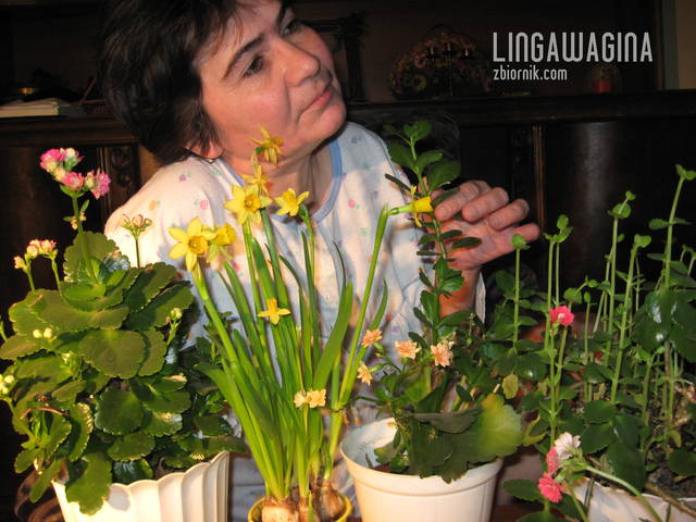 Na zb 170 C 026.jpg - lingawagina