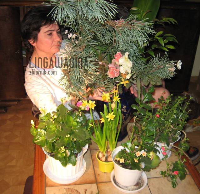 Na zb 170 C 027.jpg - lingawagina