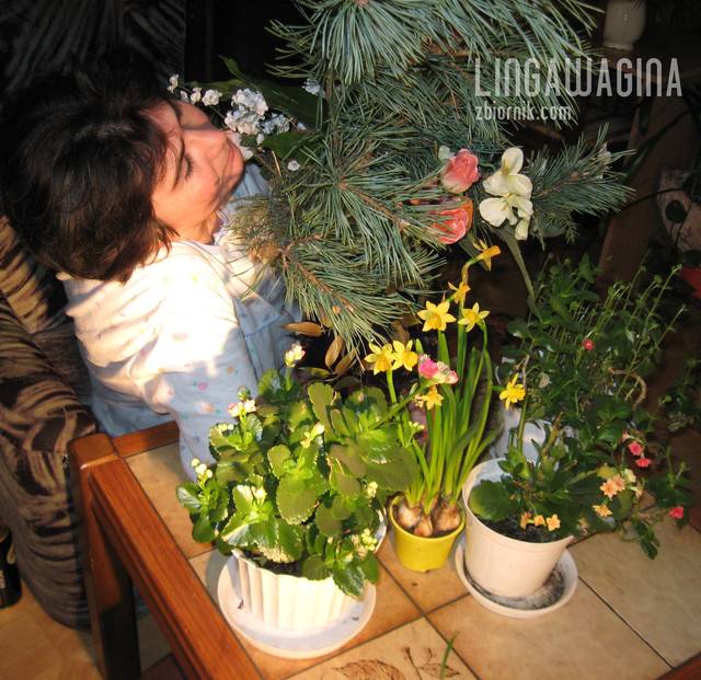 Na zb 170 C 029.jpg - lingawagina
