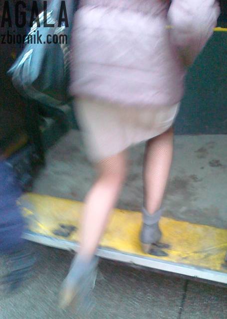 060220133248odj.jpg - AGALA