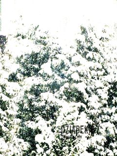 Trochę zabawy z kontrastem