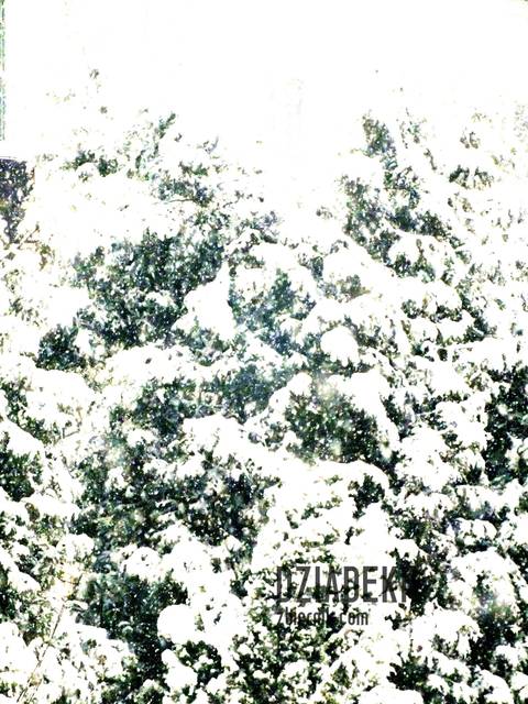 Trochę zabawy z kontrastem - dziadekh