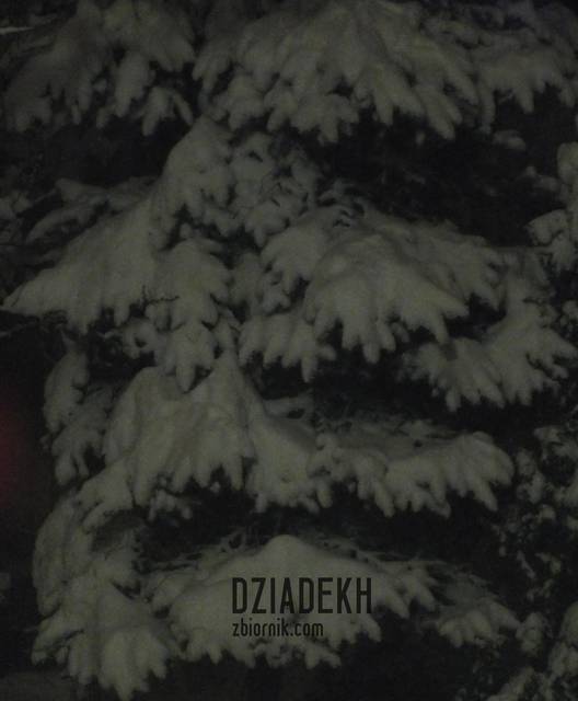 A może są chętni na nocny spacer? - dziadekh