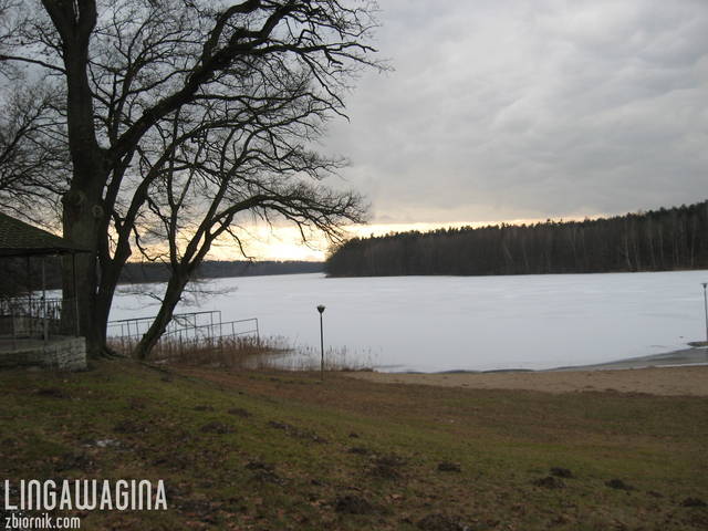 o 10.02.2013 025.jpg - lingawagina