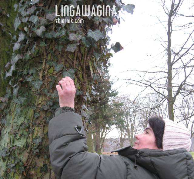 o 10.02.2013 060.jpg - lingawagina