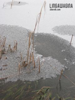 o 10.02.2013 085.jpg