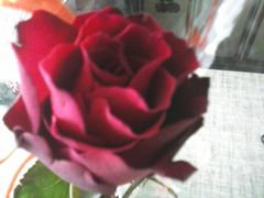 Z okazji Walentynek  dla wszystkich Pań ..:-***