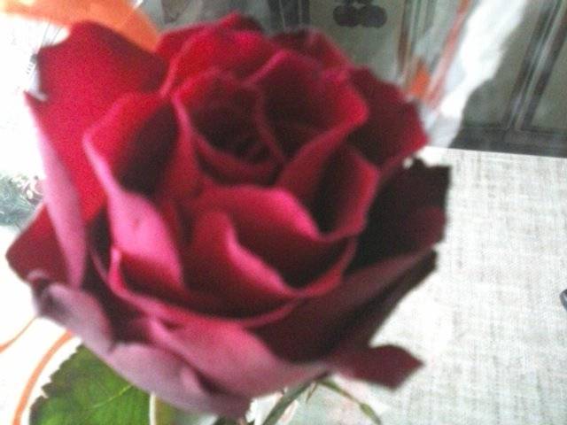 Z okazji Walentynek  dla wszystkich Pań ..:-*** - marys1964