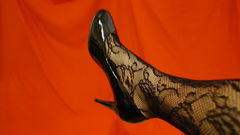 DSC02594.JPG