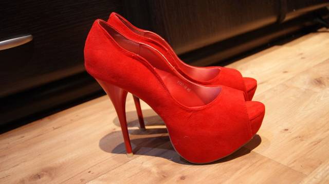 ..która suczka chce je zalożyć? - para81r