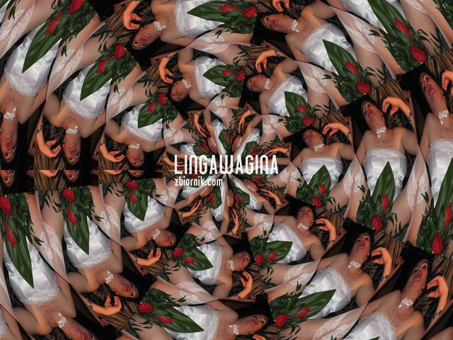 Kopia Na Zb 150  A 009.jpg - lingawagina