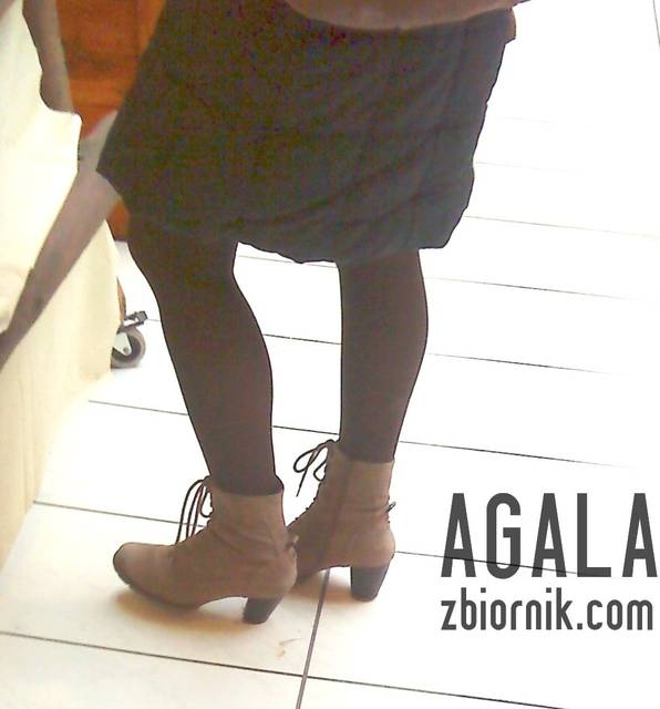 DSC00218v.jpg - AGALA