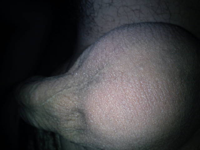 DSC00216.JPG - robin266