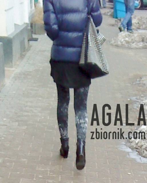 DSC00267L.jpg - AGALA