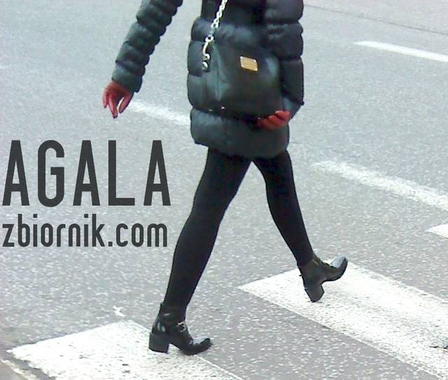 DSC00259czar.jpg - AGALA