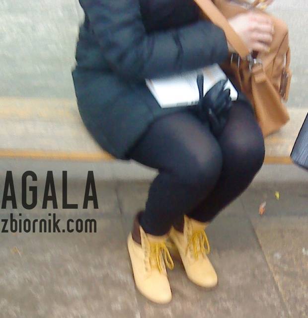 DSC00284L.jpg - AGALA