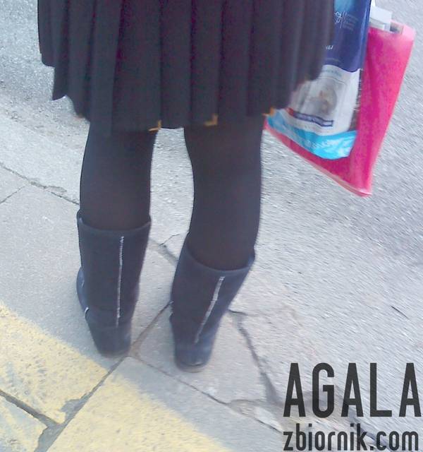 DSC00401cz.jpg - AGALA