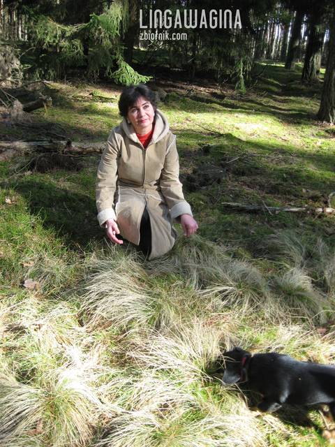 Wycieczka 02.03.13 032.jpg - lingawagina