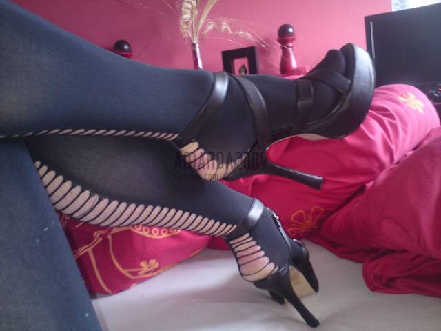 gatta..... - Amanda2009