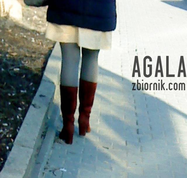 DSC00631v.jpg - AGALA