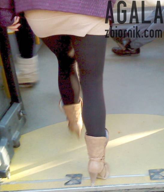 DSC00627L.jpg - AGALA