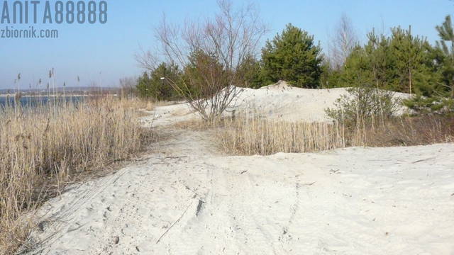 P1140036.JPG - anita88888