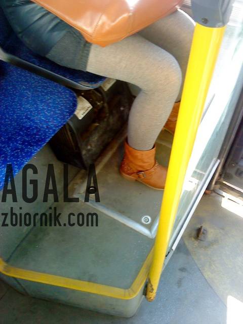 DSC00655v.jpg - AGALA