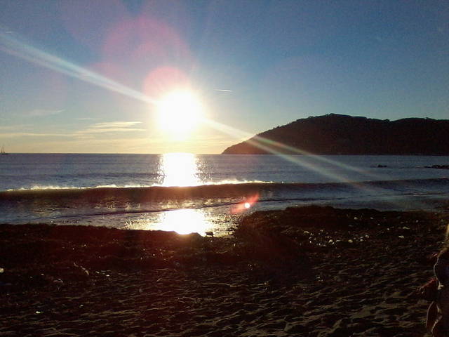 P03-02-13_16.57.jpg - roserosse2833