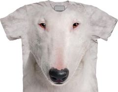 BULL TERRIER.jpg
