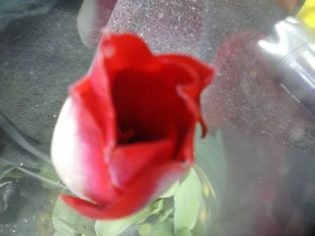 Dla wszystkich pań które znam :)))) - marys1964