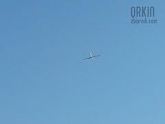 puchacz na kręgu ...