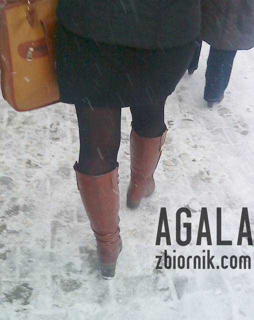 DSC00862cz.jpg - AGALA