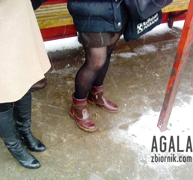 DSC00926cz.jpg - AGALA