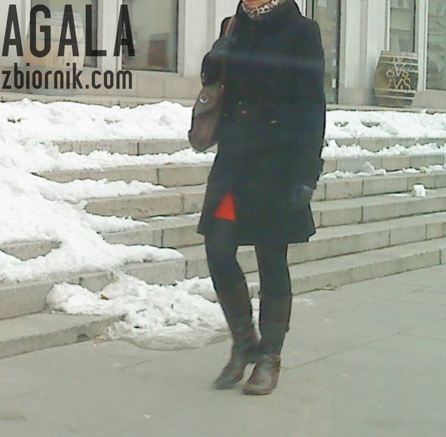 DSC00964cz.jpg - AGALA