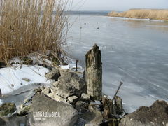 Wycieczka 17.03.13 006.jpg