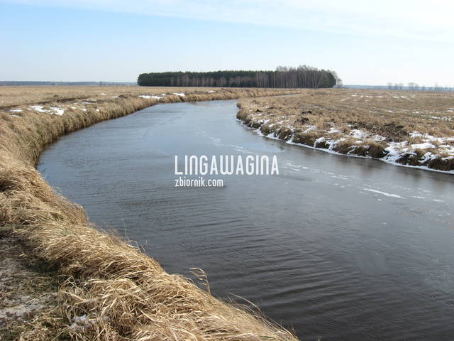 Wycieczka 17.03.13 015.jpg - lingawagina