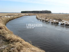 Wycieczka 17.03.13 015.jpg