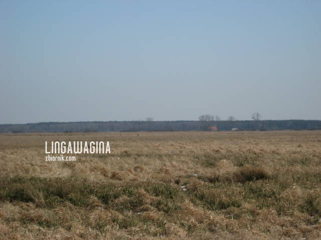 Wycieczka 17.03.13.jpg - lingawagina