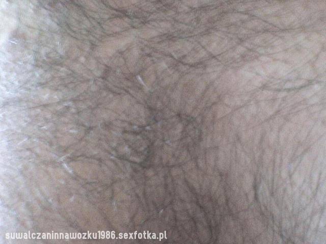 big_b5d537fef6237819992695953e0bb689.jpg - SuwalczaninPasywnyNaWozku