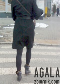 DSC01102cz.jpg